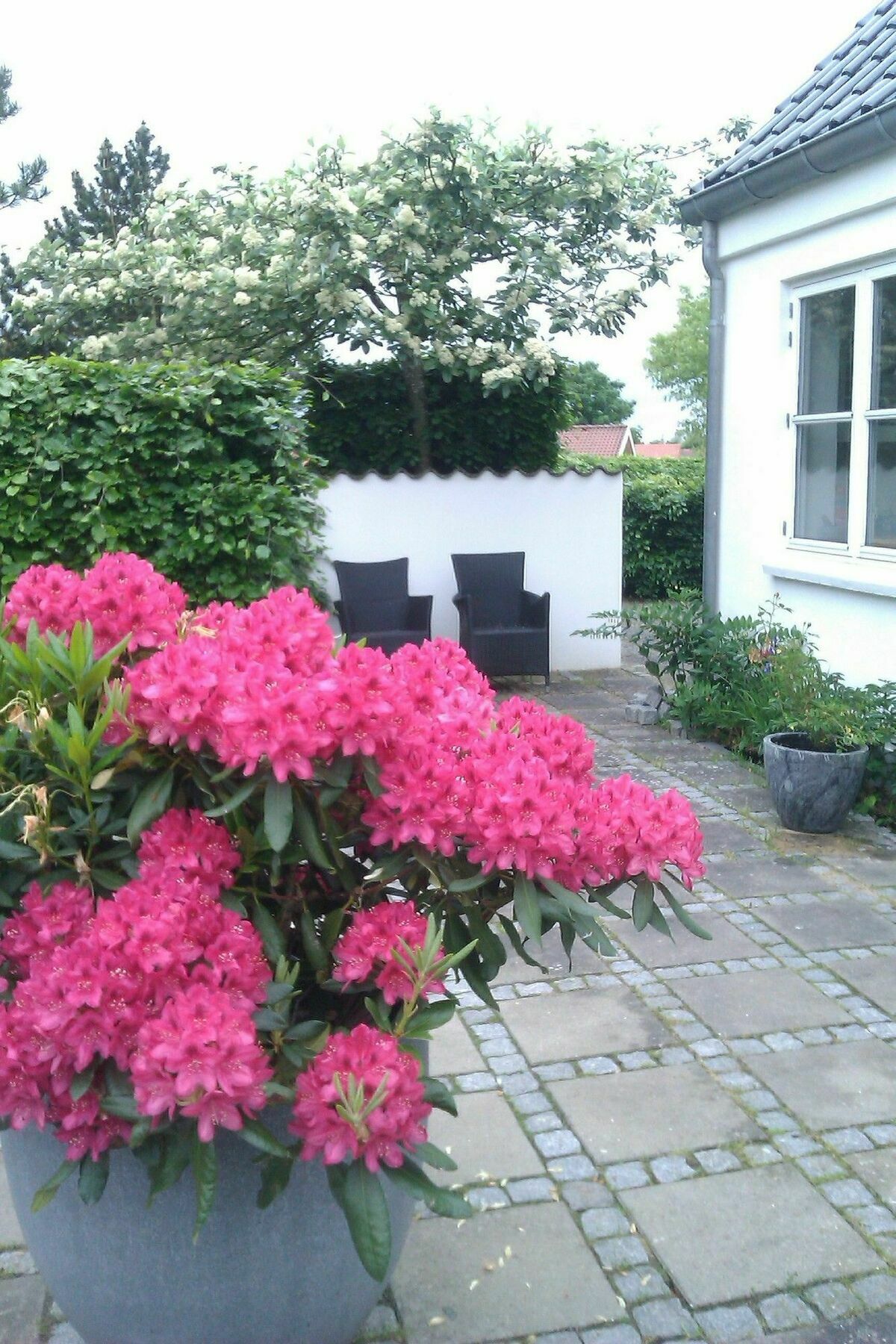 Helts B&B - Helts Guesthouse Herning Exterior foto
